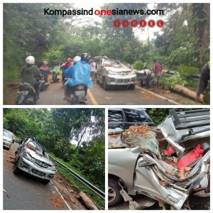 Tragedi Pohon Tumbang  Menewaskan Dua Nyawa dan Mengakibatkan Penumpang Lainnya Mengalami Luka Berat dan Ringan