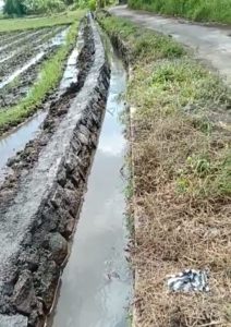 Diduga, Proyek P3-Tgai, Dijadikan Lahan Memperkaya Diri, Ini Buktinya
