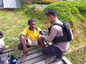 Dideteksi Sejak Dini Satgasres Ops Damai Cartenz-2022  Lakukan Sebelum Penyakit Berkembang KELADI SAGU