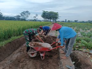 Tingkatkan Budaya Gotong Royong Di Wilayah Binaan, Babinsa Gandusari Gelar Kerja Bakti Bersama