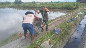Jalin Kebersamaan Dengan Warga Masyarakat, Babinsa Pos Selopuro Gelar Kerja Bakti Bersama