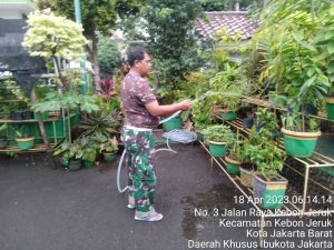 Babinsa Koramil 05/KJ Melakukan Giat Rutinitas Perawatan Tanaman
