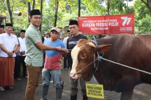 Iduladha 1444H, Polres Malang Kurban 20 Sapi dan 64 Kambing untuk Warga