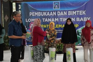Bupati Sleman Gandeng KWK Budi Daya Timun Baby.