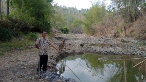 DAMPAK KEMARAU PANJANG 6000 WARGA DESA JALATUNDA KRISIS AIR BERSIH