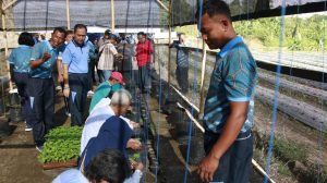 Perkuat Ketahanan Pangan, Lanud Adisutjipto Kerjasama Dengan Pemda DIY Fasilitasi Para Petani Manfaatkan Lahan.