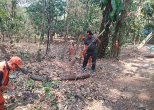 Hadiri Giat Karya Bakti PPSU Kel Srengseng, Ini Kata Danramil 07/KB Mayor Kav Dwi Joko Purnomo