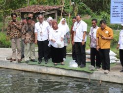 12 Kelompok Pembudidaya Ikan di Sleman, Peroleh Dana Insentif Dari Pemerintah Pusat.