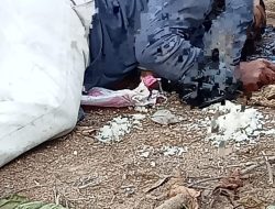 Geger, Penemuan Mayat Di Desa Kandang,Tebo Tengah di Duga Korban Pembunuhan