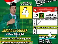 Visi, Misi dan Program Saif Baitul Ham, S.Kep. Ners Caleg PPP Demi Meraih Suara Masyarakat Dapil Melawi 1