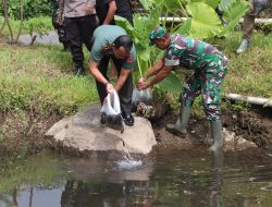 Kuatkan Ketahanan Pangan, Dandim 0732/ Kabupaten Sleman Tebar Benih Ikan