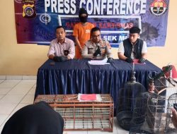Merasa Sakit Hati, PN Curi Puluhan Ekor Burung Merpati Milik Tetangga