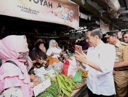 Presiden RI Cek Harga Bahan Pokok dan Bagikan Bansos di Pasar Mungkid