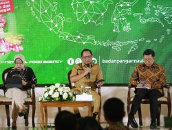 Pastikan Arus Mudik dan Arus Balik Lancar, Mendagri Minta Pemda Cek Perlengkapan Transportasi