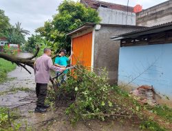 Bhabinkamtibmas Polsek Legok Bantu Warga Memotong Pohon Tumbang yang Menutupi Jalan 