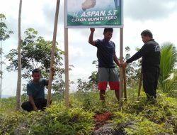Sejumlah Perangkat Desa Di Tebo Diduga Di Intervensi Kadis PMD Pasang Spanduk Calon Bupati Tebo,Ini Tanggapan Aktifis Tebo Jambi