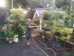Sukseskan Program Ketahanan Pangan, Babinsa Koramil 05/KJ Perawatan Tanaman