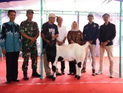 Buka Kontes Kambing PE Ras Kaligesing Regional Jawa, Bupati Sleman Harap Ekonomi Masyarakat Meningkat