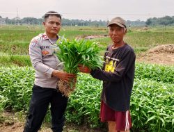 Bhabinkamtibmas Bersama Tiga Pilar Desa Cijengkol Ajak Warganya Memanfaatkan Lahan Tidur Untuk Ketahanan Pangan