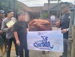 Menjelang Hari Raya Kurban 1446 .H Desa Padang Lengkuas kecamatan Lahat Kabupaten Lahat Terima Bantuan Satu Ekor Hewan Kurban Untuk Masyarakat .