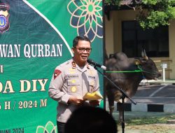 Menjelang Hari Raya Idul Adha 1445 H 2024, Polda DIY Serahkan 30 Ekor Sapi dan 15 Ekor Kambing.