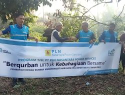 Menjelang hari Raya ldul Adha 1445H Tahun 2024 PT PLN NP Service Unit PLTU Bangka Menyerah kan Hewan Qurban