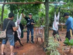 Ketum FWJ Indonesia: Mencari Bahagia Itu Simpel
