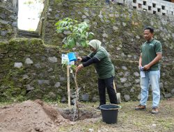 Peringati Hari Air Dunia, Pemkab Sleman Tanam Bibit Pohon dan Tebar Benih Ikan