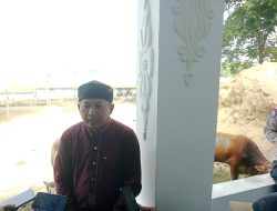 Pemdes Mulyasari Salurkan hewan Qurban 13 ekor Sapi dan 31 Ekor Kambing untuk Masyarakat