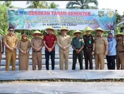 Gerakan Tanam Cabai Dan Bawang Merah Di Tujuh Belas Kabupaten Kota Di Sumatera -Selatan