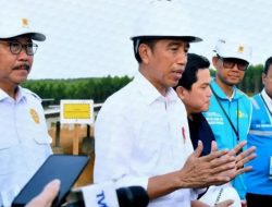 Rabu Presiden Jokowi Tiba di IKN Kalimantan Timur, Persiapan HUT RI ke 79