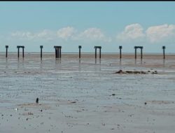 Puluhan Tahun Terbengkalai, Proyek Pelabuhan Ujung Jabung Mendapat Sorotan Dari Ketua AWNI Jambi.