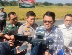 Wakil Bupati Sleman, Menghadiri Panen Padi Hasil Program Optimalisasi Lahan Tidur