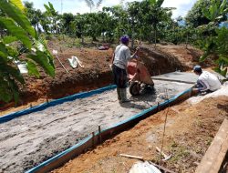 Pemeritah Pekon Campang Tiga, Laksanakan Pembangunan Rabat beton di Wilayah Pemangku 01 dan 04 yang di Anggarkan dari dana DD 2024