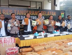 Ganja Seberat 642 Kilogram dari Jaringan Jawa-Sumatera, Diamankan Polres Tangerang Selatan