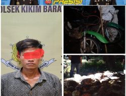 Polres Lahat Ungkap Kasus Pencurian Buah Sawit Di PT Aditarwan Desa Kikim Barat Kabupaten Lahat.