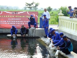 Mendukung Ketahanan Pangan Nasional, Ditpolairud Polda DIY Menebar 5.000 Bibir Ikan di Kabupaten Bantul