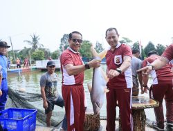 Dukung Misi Asta Cita, Polda Sumsel Panen Raya 2,5 Ton Ikan, Tebar Bibit Puluhan Ribu Ekor.