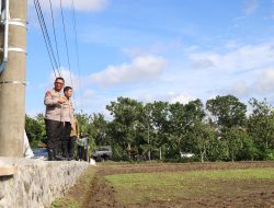 Demi Mendukung Pangan Nasional, Kapolda DIY Tinjau Lahan Riset Pola Tanam Baru di Mayudan
