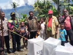Sistem Noken dan Pilkada Papua Pegunungan: Elisabeth Kogoya Ungkap Kesepakatan Adat