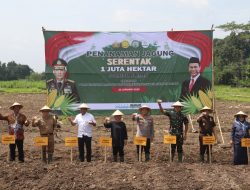 Dukung Swasembada Pangan Nasional, Bupati Sleman, Kapolresta Sleman, dan Dandim 0732/ Sleman Tanam Jagung di Trimulyo