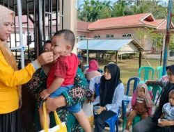 Posyandu ILP Desa Penebal Gelar Pemeriksaan Kesehatan bagi Ibu Hamil, Remaja Putri, Lansia, dan Balita