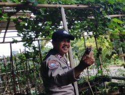 Peninjauan dan Pembinaan Poktan Ketahanan Pangan di Kelurahan Cipinang Melayu