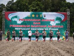 Dukung Swasembada Pangan, Kapolri RI dan Gubernur DIY Tanam Jagung di Lahan 5 Hektare