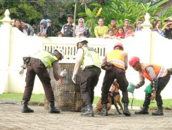 Kapolda DIY, Menjadi Brigadir yang Mahir Terpuji dan Patuh Hukum