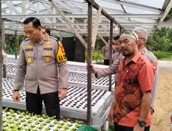 Kapolresta Pontianak Kombes Pol Adhe Hariadi,S.I.K. M.H Cek Pembibitan sayuran di Kelompok Tani Pondok Sehati di Pal Lima