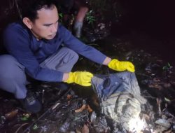 Warga Digegerkan Dengan Temuan Kerangka Manusia di Sebuah Lahan Kebun Karet
