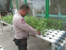 Bhabinkamtibmas Matraman Tinjau Ketahanan Pangan Green Puspa