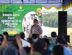 Dukung Program Swasembada Pangan Nasional, Danang Maharsa Pimpin Penen Raya Padi