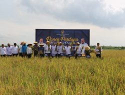 Nusakambangan Panen Perdana, Bangun Lumbung Ketahanan Pangan Dan Beri Kesempatan Warga Binaan